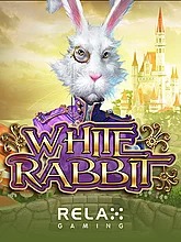 White Rabbit